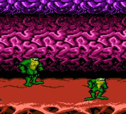 Battletoads & Double Dragon